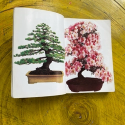 BONSAI TOÀN THƯ- HARRY TOMLINSON 543393