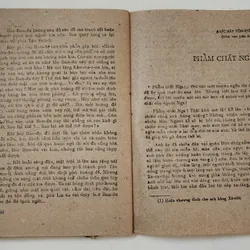 Truyện ngắn các nước: BÔNG HOA MÀU VÀNG NÂU

 708968