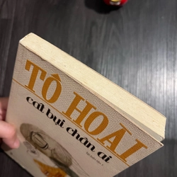 Cát Bụi Chân Ai - Tô Hoài 272913