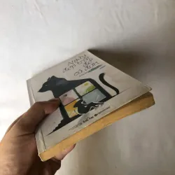 Ngày Đẹp Trời Để Cô Đơn - Aoyama Nanae 926829