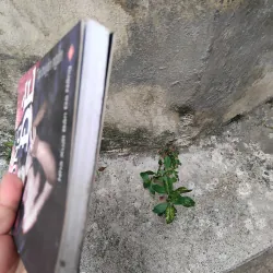 Bóng đè tập truyện của Đỗ Hoàng Diệu  1029199