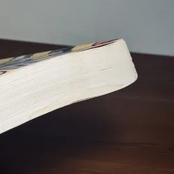 Văn mới 5 năm Đầu thế kỷ - Nhiều tác giả (Bìa mềm) 929696