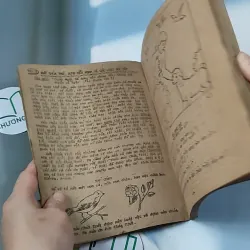 Những Truyện Tích Đầu Tiên Trong Kinh Thánh - Hội Thánh Tin Lành 775990