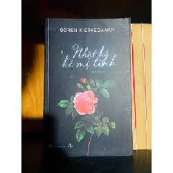 Nhật ký kẻ mị tình / Soren Kierkegaard VĂN HỌC VAVO2012-67