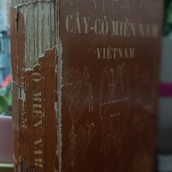 CÂY CỎ MIỀN NAM VIỆT NAM - Phạm Hoàng Hộ 194860