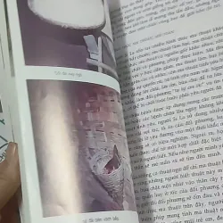 Người Sila - Chu Thái Sơn 688591