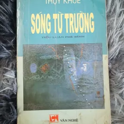Sóng từ trường (Thụy Khuê)