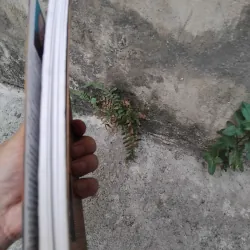 Nghệ thuật múa rối cổ truyền đất Thăng Long  1006701