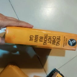 Tiếng chim hót trong bụi mận gai 492729