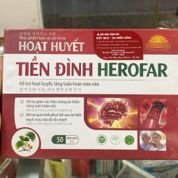 Hoạt huyết tiền đình hỗ trợ hoạt huyết tăng tuần hoàn máu não 