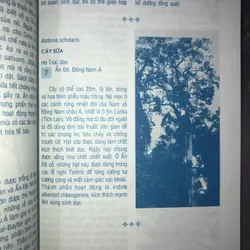 Thảo dược & tình yêu  714029