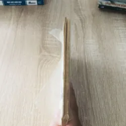 THƠ TÌNH TRONG NGĂN CẶP 1027816