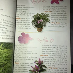 365 loài hoa cảnh  732810