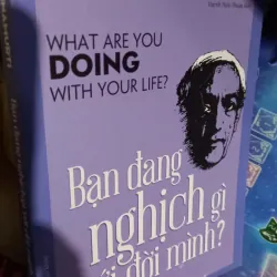 bạn đang nghịch gì với đời mình 1025354