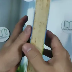 Ngồi Khóc Trên Cây - Nguyễn Nhật Ánh 798458