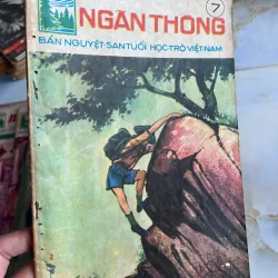 NGÀN THÔNG - VI VI 995495