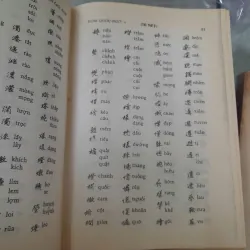 TỰ ĐIỂN CHỮ NÔM - NGYỄN QUANG XỸ, VŨ VĂN KÍNH 746183