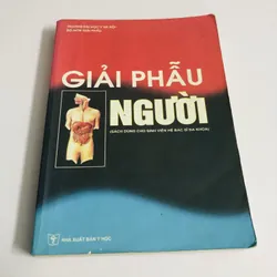 GIẢI PHẪU NGƯỜI 