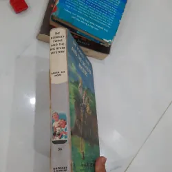 The bobbsey twins and the big rivers mystery 930936