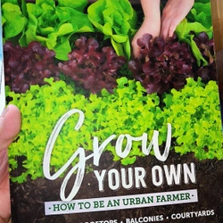 Grow Your Own: How to be an urban farmer