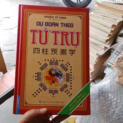 Dự Đoán Theo Tứ Trụ - Thiệu Vĩ Hoa 