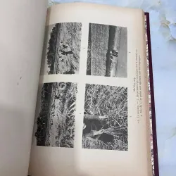 LES MƯỜNG - JEANNE CUISINIER 1006321