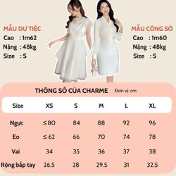 Váy thiết kế nữ Charme- size S- chính hãng- mới 188193