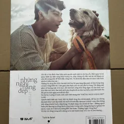 Những ngày nắng đẹp 970141