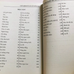 📗 CHỮA BỆNH TỪ CÂY CỎ VƯỜN NHÀ & BÀI THUỐC GIA TRUYỀN – Lương y Quách Văn Minh  482482