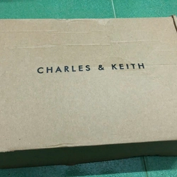 Charles & Keith mới 100% - Túi đeo vai form chữ nhật Metallic Curved 357166