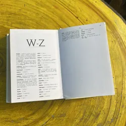 DICTIONNAIRE DESS SYNONYMES LES DICOS D’OR 735015