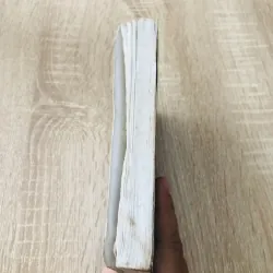 DÁM THẤT BẠI ( sách dịch) - 286 trang, nxb: 2005 314678