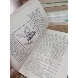 NEW METHOD SUPPLEMENTARY READER STAGE 6 Series (Sách luyện đọc tiếng Anh)