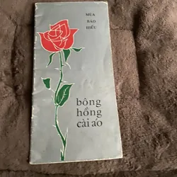 Bông hồng cài áo mùa báo hiếu