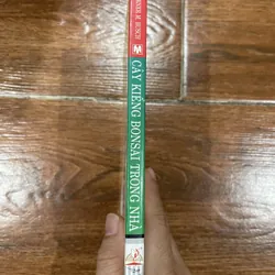 Cây kiểng Bonsai trong nhà (6) 715975