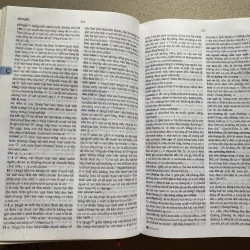 Đại Từ Điển Tiếng Việt 1025827