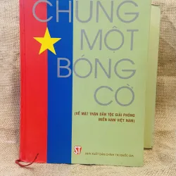 Chung một bóng cờ 1005113