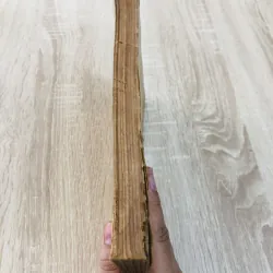 NHỮNG HỌ THỰC VẬT CÓ HOA ( Tập 2) - Cây một lá mầm 956971