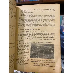 Nghiên cứu sinh lý tre trúc - Koichiro Ueda 718846