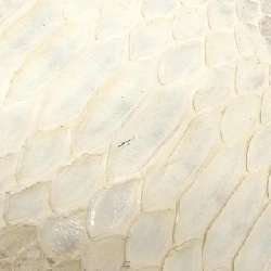 Túi xách vai Fendi Baguette 8BR000 JW7 - Hàng hiệu Chính hãng 767602