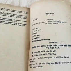 RỪNG NGẬP MẶN (T1) 960192