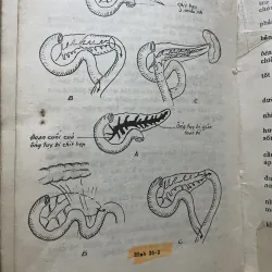 Bài giảng bệnh học ngoại khoa 1+2 1000058