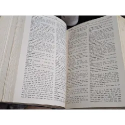 Từ điển Anh Việt - Nguyễn Xuân Chinh 698231