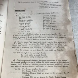 Grammaire & Syntaxe 993451