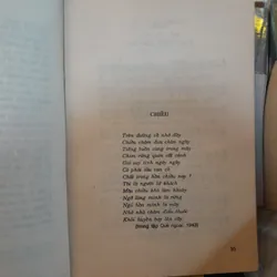 HỒ DZẾNH THI SĨ 695961