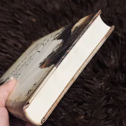 Những bài dã sử Việt (bìa cứng) 996363