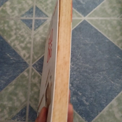 Báo ứng Phlip Roth 509834