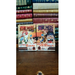 LIGHT NOVEL ONE PIECE CHUYỆN VỀ ACE