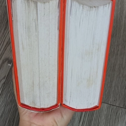 Thủy Hử Truyện Diễn Nghĩa- Nguyên Tác Thi Nại Am- Lời Bình Kim Thánh Thán 543324