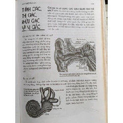 Bách khoa khoa học trẻ - Thục Anh (biên dịch) 1024591